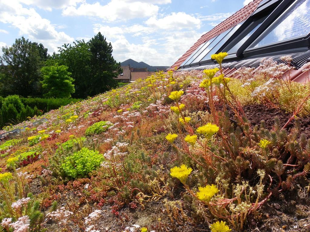 הוילה Loos-en-Gohelle Fleur De Ciel מראה חיצוני תמונה