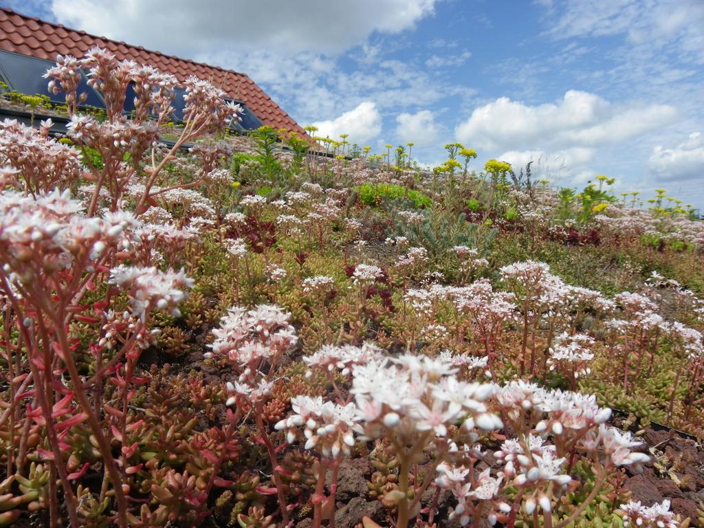 הוילה Loos-en-Gohelle Fleur De Ciel מראה חיצוני תמונה