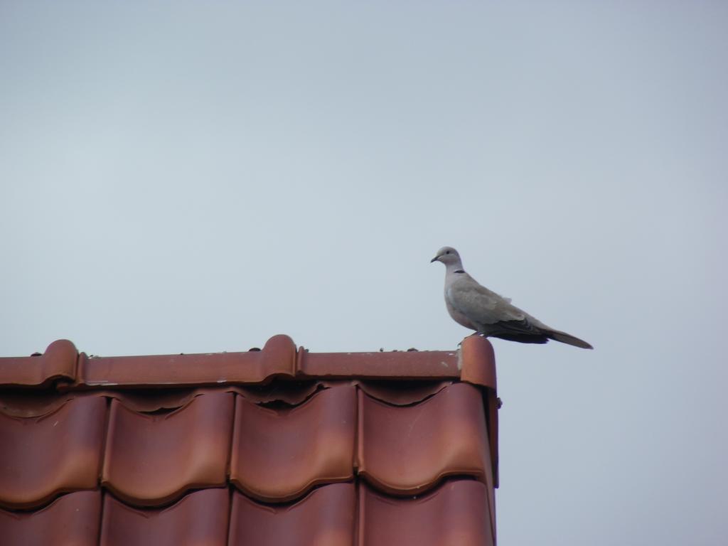 הוילה Loos-en-Gohelle Fleur De Ciel מראה חיצוני תמונה